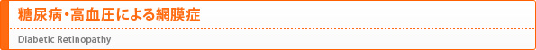 糖尿病・高血圧による網膜症(Diabetic Retinopathy)